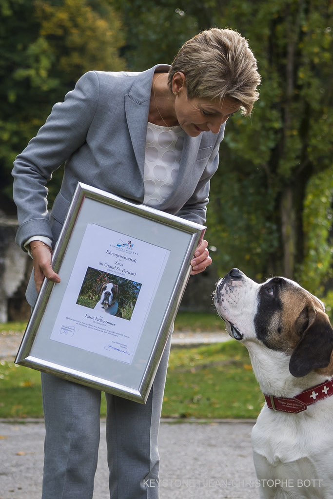 La consigliera federale Keller-Sutter assume il ruolo di madrina di Zeus, un cane San Bernardo di sei mesi