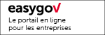 Logo EasyGov